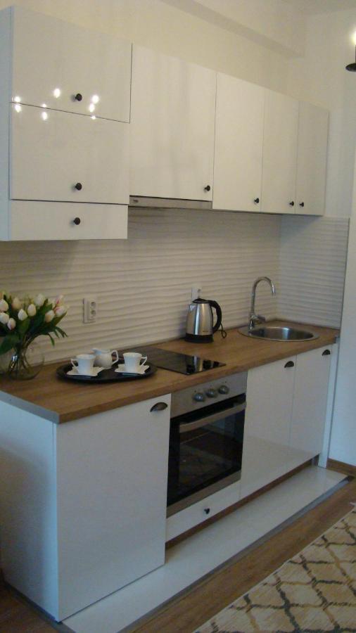 Gagovic Apartman Cetinje Kültér fotó